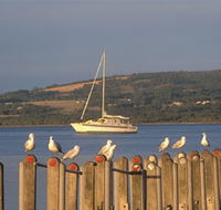 Oyster Harbour - Accommodation Rockhampton
