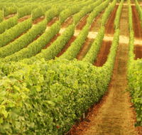 Xanadu Wines - Accommodation Rockhampton