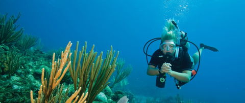 Coastal Water Dive - Accommodation Rockhampton 0