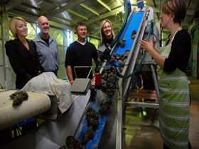 Eyre Peninsula's Seafood Trail - Accommodation Rockhampton 0