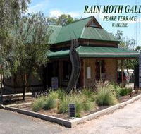 Rain Moth Gallery - Accommodation Rockhampton