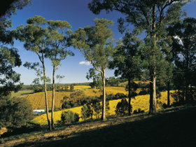 Lobethal SA Accommodation Rockhampton