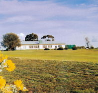 Lucindale Country Club - Accommodation Rockhampton
