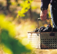 Burge Family Winemakers - Accommodation Rockhampton