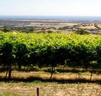 Braydun Hill Vineyard - Accommodation Rockhampton