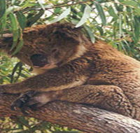 Mikkira Station - Accommodation Rockhampton