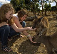 Kangaroo Island Wildlife Park - Accommodation Rockhampton