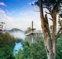 Tahune Adventures Tasmania - Accommodation Rockhampton