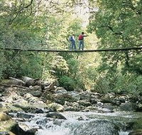 Arve Forest Drive - Accommodation Rockhampton