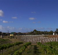 Deep Creek Wines and Alpacas - Accommodation Rockhampton