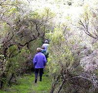 Jack And Hilda McArthur Walk - Accommodation Rockhampton