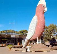 The Big Galah - Accommodation Rockhampton