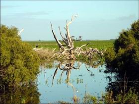 Bool Lagoon Game Reserve And Hacks Lagoon Conservation Park - Accommodation Rockhampton 0
