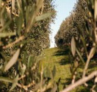 Evilo Estate - Accommodation Rockhampton