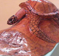 Ants Redgum Gallery - Accommodation Rockhampton