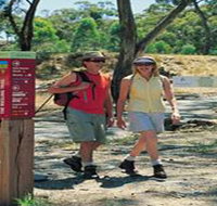 Riesling Trail - Accommodation Rockhampton