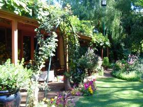 Rainforest Retreat - Accommodation Rockhampton 0