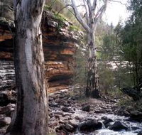 Mount Remarkable National Park - Accommodation Rockhampton