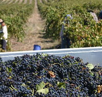 Rolf Binder Wines - Accommodation Rockhampton