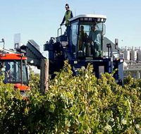 Ballast Stone Estate Wines Pty Ltd - Accommodation Rockhampton