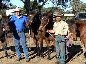  Accommodation Rockhampton