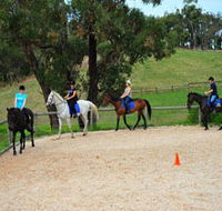Megan Jones Riding School and Trail Rides - Accommodation Rockhampton