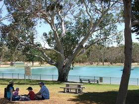 Naracoorte Nature Park And Swimming Lake - Accommodation Rockhampton 0
