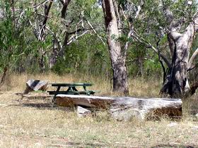 Penola Conservation Park - Accommodation Rockhampton 0