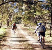 Bike About Mountain Bike Tours And Hire - Accommodation Rockhampton