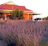 Bella Lavender Estate - Accommodation Rockhampton