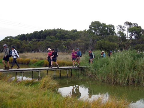 Lavender Federation Trail - Accommodation Rockhampton 1