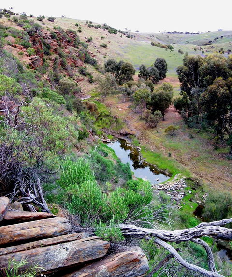Lavender Federation Trail - Accommodation Rockhampton 3