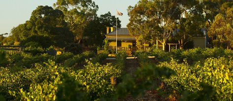 Greenock Creek Wines - Accommodation Rockhampton 2