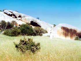 Ucontitchie Hill - Accommodation Rockhampton 0