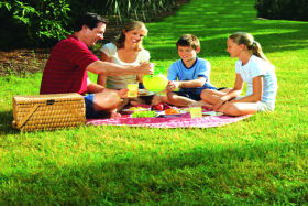 Bruny Island Berry Farm - Accommodation Rockhampton 0