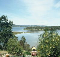 Inverawe Native Gardens - Accommodation Rockhampton