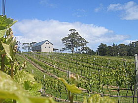 Bruny Island Premium Wines Bar And Grill - Accommodation Rockhampton 0