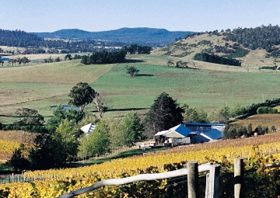 Freycinet Vineyards Pty Ltd - Accommodation Rockhampton 0