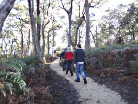 Bridport Walking Track - Accommodation Rockhampton 0