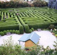 Westbury Maze and Tea Room - Accommodation Rockhampton