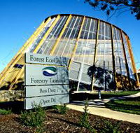 Forest EcoCentre - Accommodation Rockhampton
