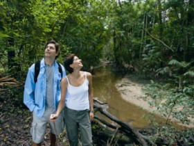 Mooloolah River National Park, Jowarra Section - Accommodation Rockhampton 0