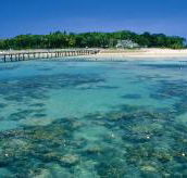 Green Island Fringing Reefs - Accommodation Rockhampton