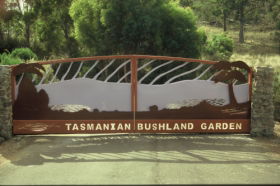 Tasmanian Bushland Garden - Accommodation Rockhampton 0