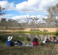 Canberra Nature Park - Accommodation Rockhampton