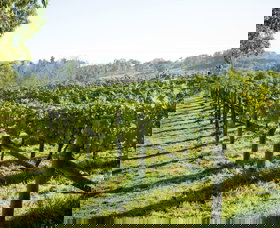 Surveyor's Hill Vineyards - Accommodation Rockhampton 0