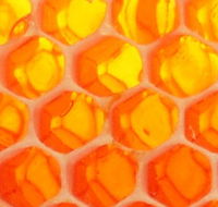 The Honey Pot - Accommodation Rockhampton