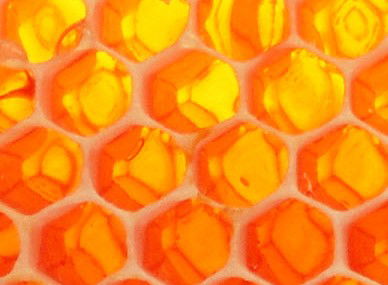 The Honey Pot - Accommodation Rockhampton 0