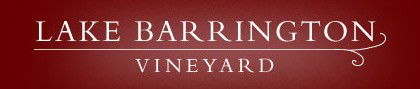 Lake Barrington Estate Vineyard - Accommodation Rockhampton 0