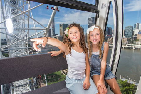 The Wheel Of Brisbane - Accommodation Rockhampton 4